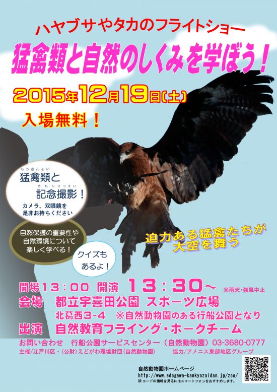 ハヤブサやタカたちが大空を舞うフライトショー 墨田区のイベント ニュース 墨田区時間